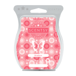 Braeburn Scentsy Bar