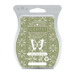 Cactus Flower Lime Scentsy Bar