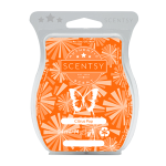 citrus pop scentsy bar