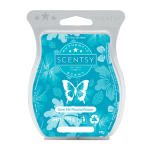 give me passionflower scentsy bar