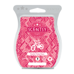 rockin ruby razz scentsy bar