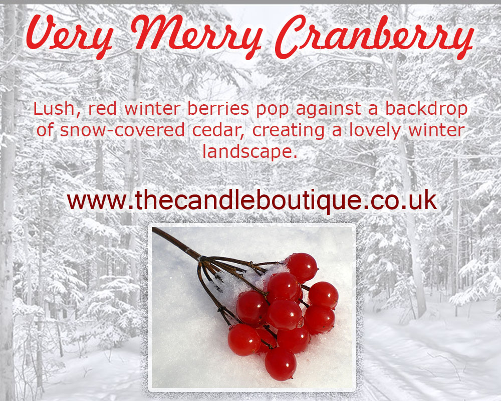 Scentsy Very Merry Cranberry Scented Wax Bar