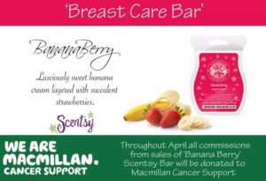 Scentsy Bananaberry Scented Wax Refill Bar