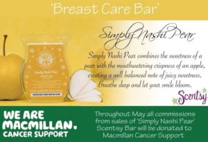 Scentsy Simply Nashi Pear Scented Wax Bar