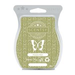 Amazon Rain Scentsy Bar