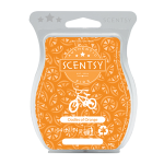 Oodles of Orange Scentsy Wax Bar