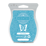 Stay awhile scentsy bar
