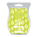 jungle jam scentsy bar