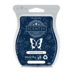 southern evening scentsy bar