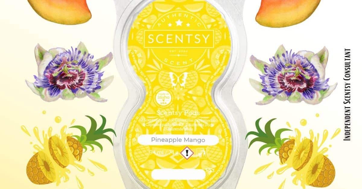 Pineapple Mango Scentsy Pod Twin Pack The Candle Boutique Scentsy