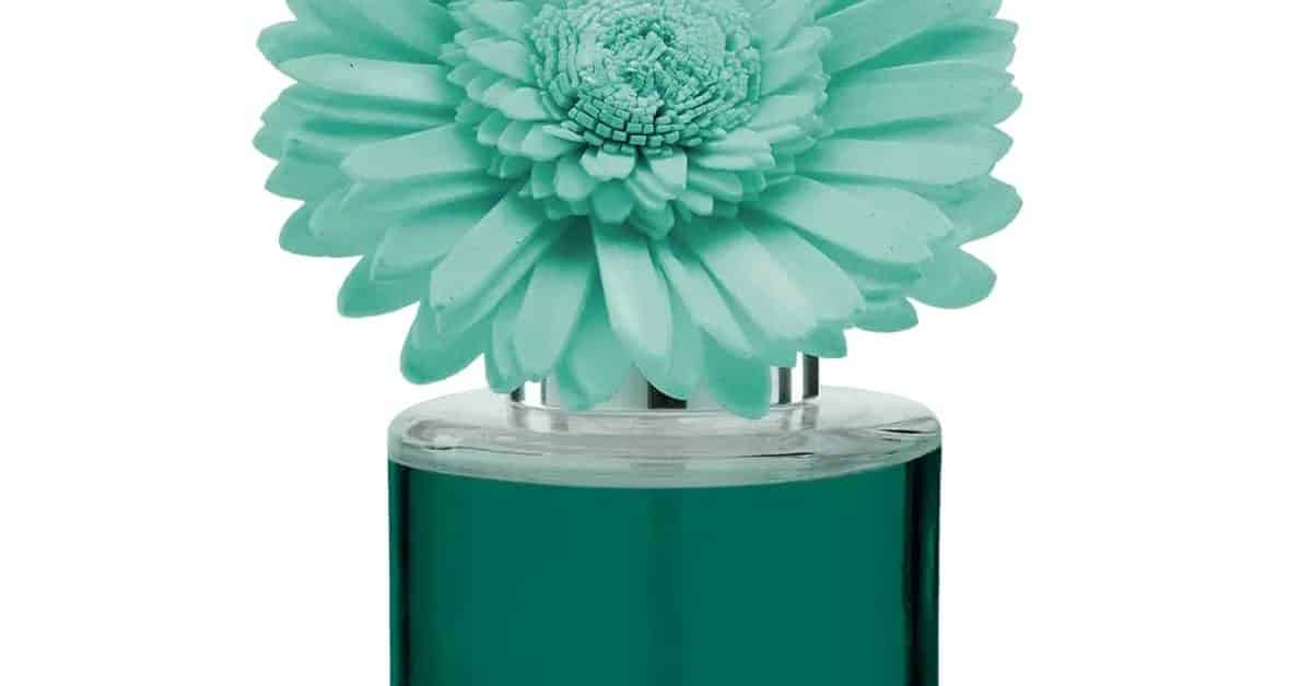 Water Lily Bergamot Dainty Daisy Fragrance Flower The Candle