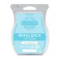 Berry Bubble Blue Scentsy Bar