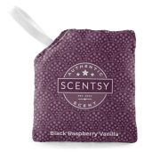 Black Raspberry Vanilla Scent Pak