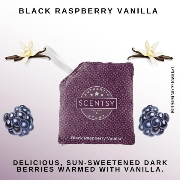 Black Raspberry Vanilla Scentsy Scent Pak