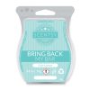 Crazy Coconut Scentsy Bar