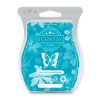 Give Me Passionflower Scentsy Bar