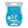 Honeymoon Hideaway Scentsy Wax Melt