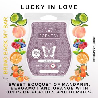 Give Me Passionflower Scentsy Bar - The Candle Boutique - Scentsy UK ...