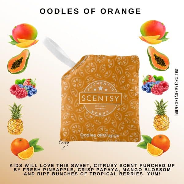 Oodles Of Orange Scentsy Scent Pak