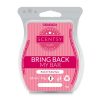 Rockin' Ruby Razz Scentsy Bar