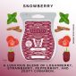 Snowberry Scentsy Bar