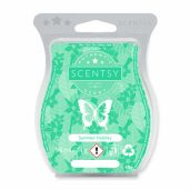 Summer Holiday Scentsy Bar