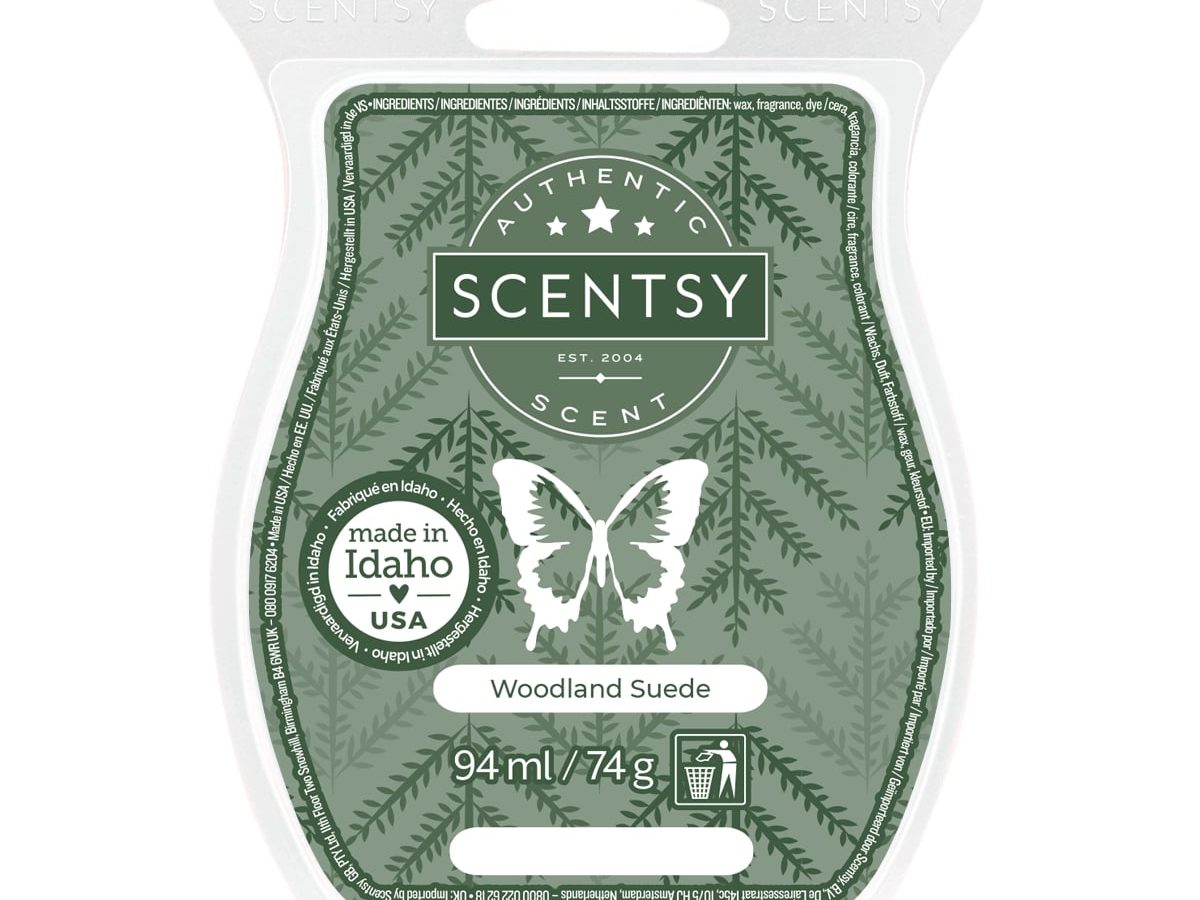 Rain Scentsy Wax Bar