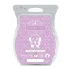 Coconut Vanilla Orchid Scentsy Bar