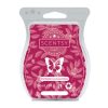 Wild Redberry & Sweet Melon Scentsy Bar