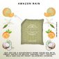 Amazon Rain Scentsy Scent Pak