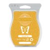 Coconut Flan Scentsy Bar