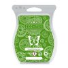 Lime & Sugarcane Scentsy Bar