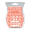 Summer Soleil Scentsy Bar