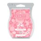 Bubblegum Blast Scentsy Bar