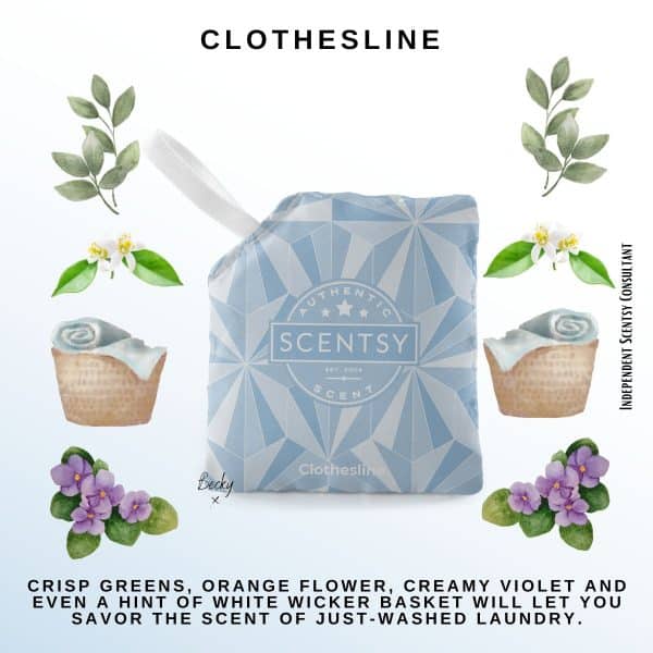 Clothesline Scentsy Scent Pak