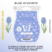 Blue Hyacinth Scentsy Bar