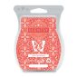 Let's Get Punchy Scentsy Bar