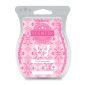 Pink Promenade Scentsy Bar