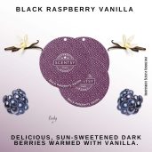 Black Raspberry Vanilla Scentsy Scent Circle