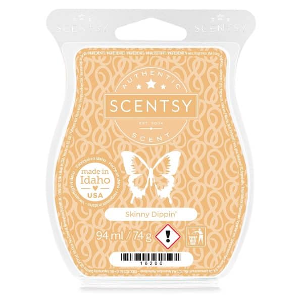 Skinny Dippin’ Scentsy Bar