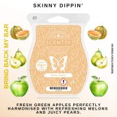 Skinny Dippin’ Scentsy Bar