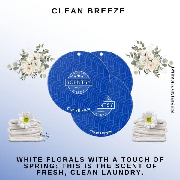 Clean Breeze Scentsy Scent Circle