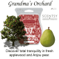 Grandma's Orchard Scentsy Scented Wax Bar