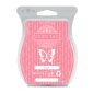 Sugar Scentsy Bar