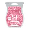 Happy Hibiscus Scentsy Bar (BBMB Winner)