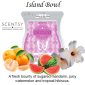 Island Bowl Scentsy Wax Melt Bar