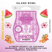 Island Bowl Scentsy Bar