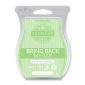 Lime & Kiwi Cantaloupe Scentsy Bar