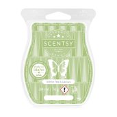 White Tea & Cactus Scentsy Bar