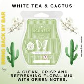 White Tea & Cactus Scentsy Wax Bar